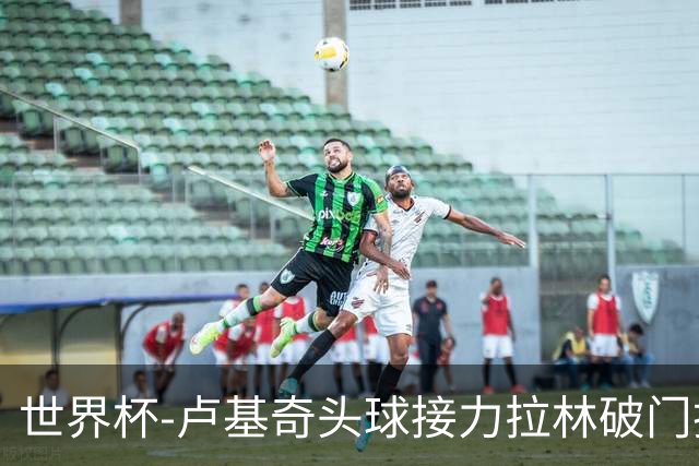 世界杯-卢基奇头球接力拉林破门扳平 加拿大1-1波黑